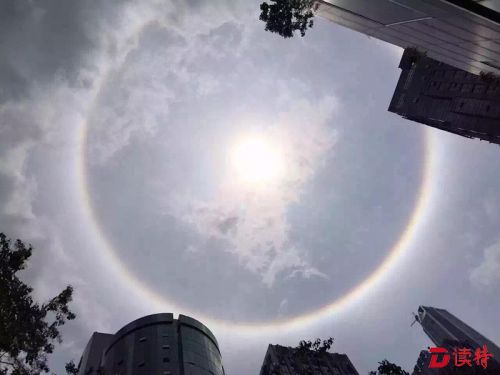 日晕！深圳突现“星际奇观”，看晕宝宝惹~