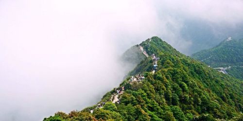 梧桐山1