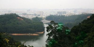 成立四年造林17000余亩 龙华新区荣获“全国绿化模范单位”