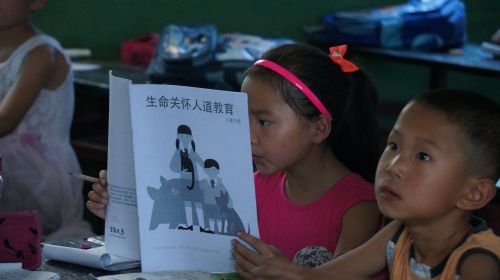 她不仅给流浪猫们一个家，还要把儿童都变成动保者