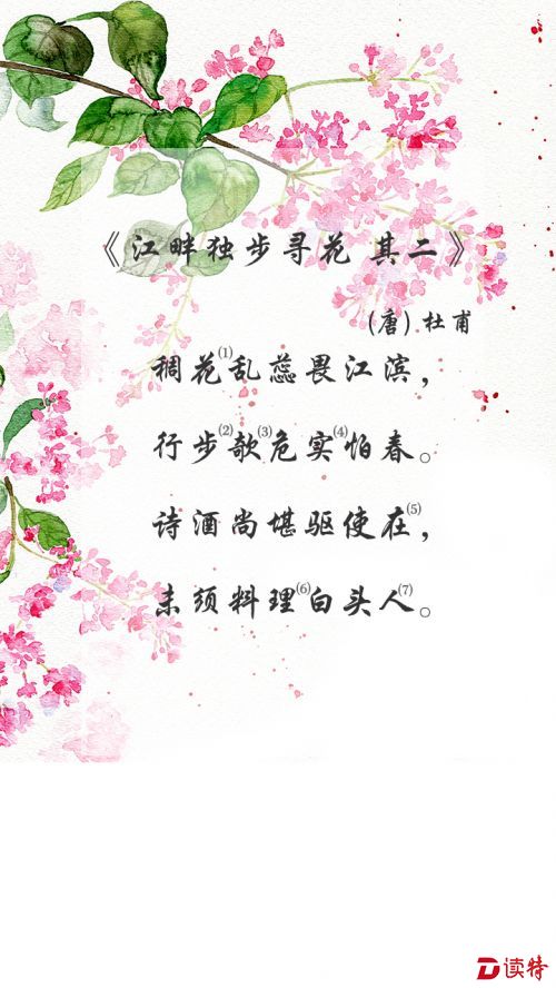 20160412江畔独步寻花 其二