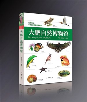 全国15%的蝴蝶都在大鹏！关于大鹏半岛的动植物，看这本书就够了