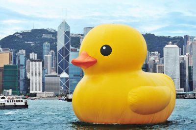 风靡全球的大黄鸭将要“游”进澳门