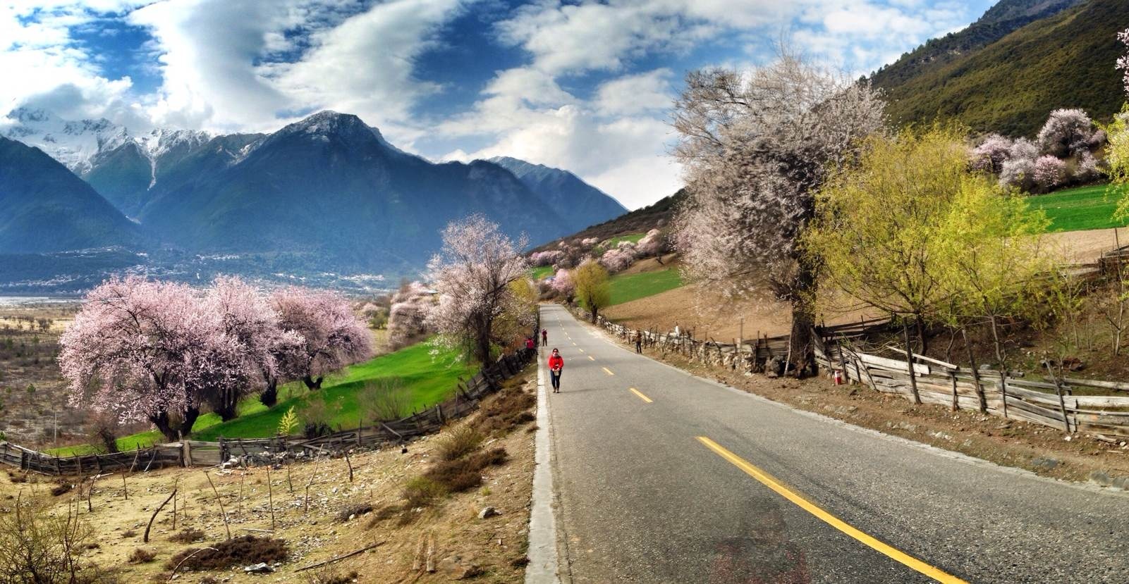4月，抓住春天的尾巴出游！十个赏花地等你来