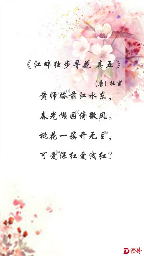 20160412江畔独步寻花 其五