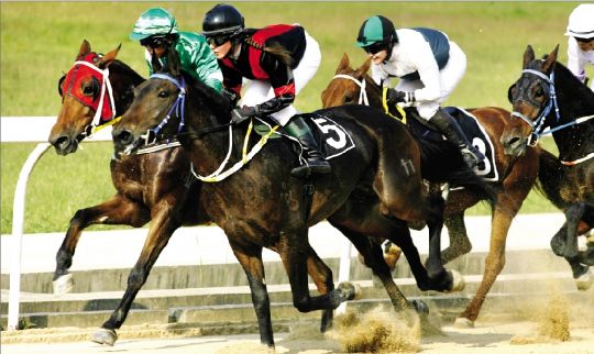 香港马会首次在内地招聘骑师 首轮候选4成是女性