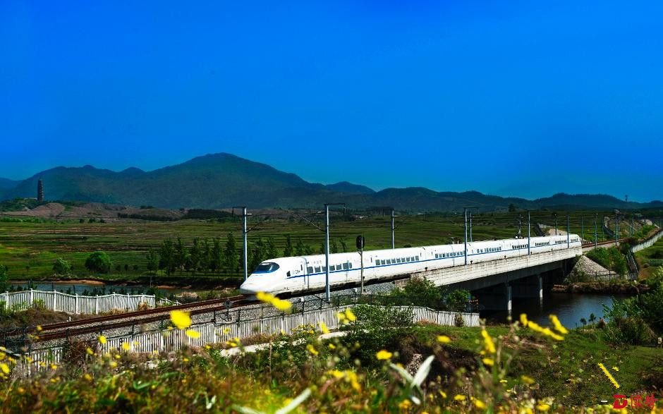 合武高铁驰骋田间被赞"最美高铁"