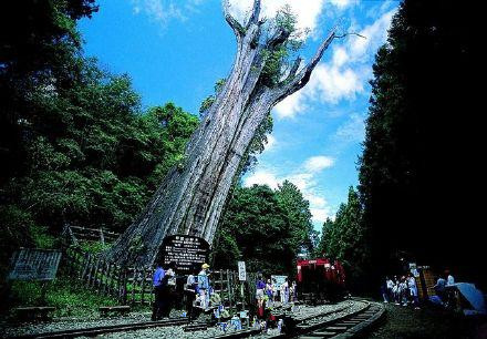 阿里山门票涨价啦！5月1日起差别收费 