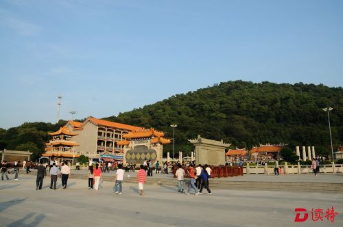 凤凰社区的“涅槃”实验