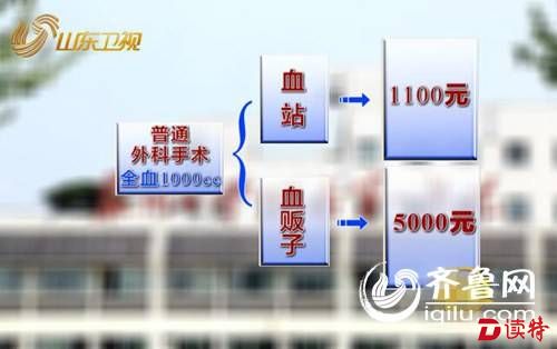 全国多地现“血荒” 血贩子要价翻数倍年入百万