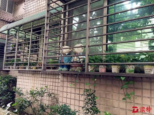 台湾行透透 | 放缓脚步，台北的魅力藏在小巷中