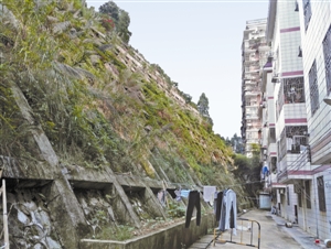 罗湖“插花地”：隐患重重 居民呼吁整体改造