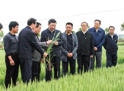 人民日报记者回访安徽干部群众 披露习近平调研细节 