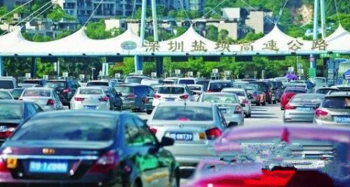 凑热闹赶早！东部景区排队车龙再现，1日仍是出行热点