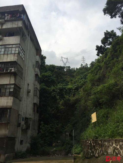 危楼11年没加固 ，罗湖的松泉公寓小区隐患重重！ 