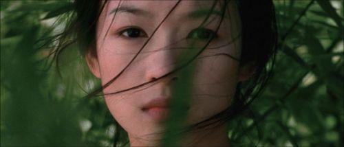 《卧虎藏龙》剧照