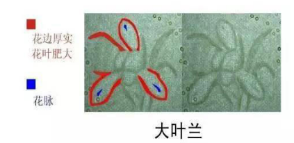 不想你再错过 2016年这些人民币最具收藏价值