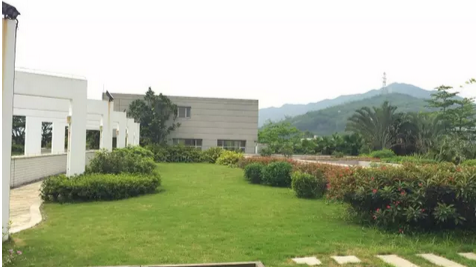 吃本地客家菜，到核电站开趴体！下次去大鹏不要只会看海爬山了