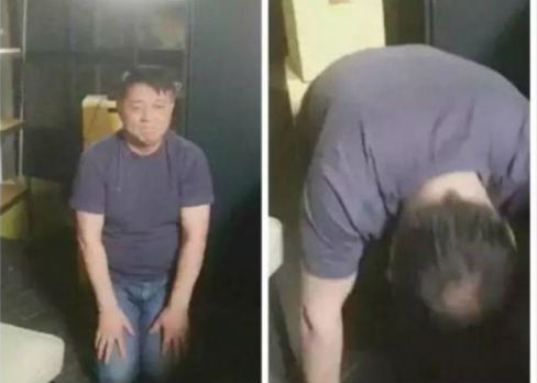 下跪真有用？《百鸟朝凤》票房逆袭单日收入900万元