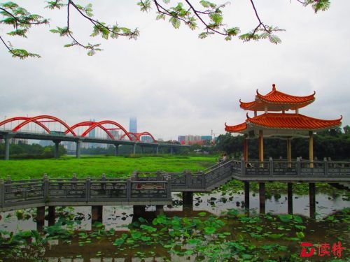 特评｜治理城市需要带着感情做工作