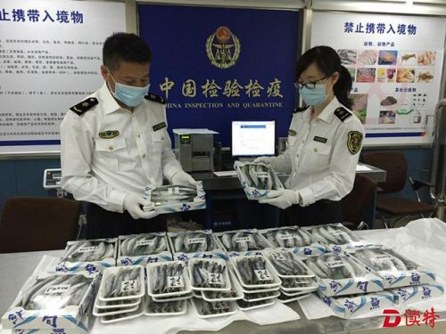 出国能带海鲜回来吗？一旅客带了326条日本冻鱼回国，结果……