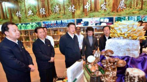 习近平总书记考察黑龙江首站伊春，为发展把脉支招