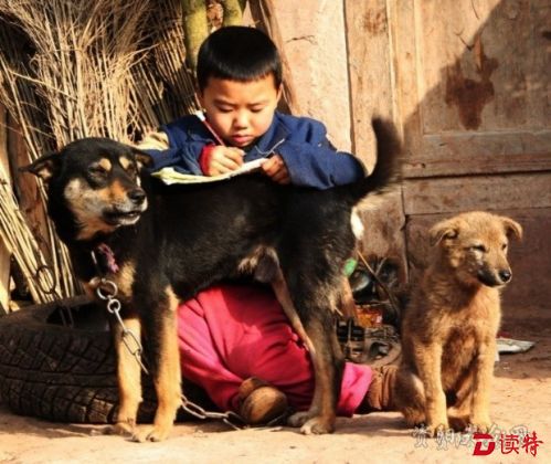 特评｜所有人都对留守儿童负有责任
