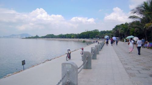 红树林骑行