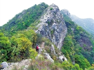 　　深圳的排牙山山势险峻，山顶的岩石像牙齿一样，是典型的火山岩浆喷发分层堆积而成。