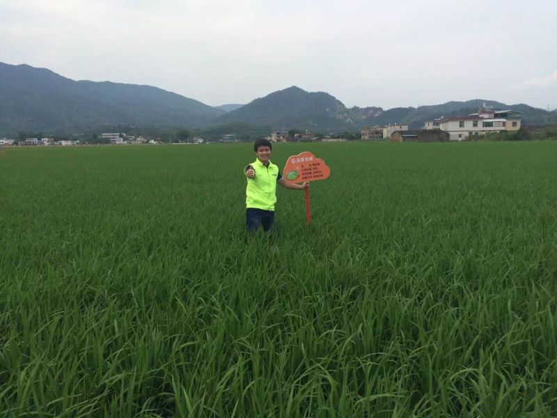 深圳农业众筹平台入选广东省 “互联网+”试点