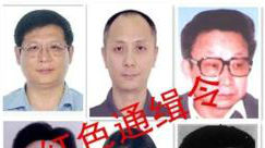 “百名红通人员”曾子恒从加拿大主动回国归案