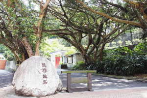 timg (1)