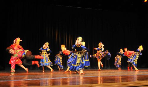 深圳友城文化周友城艺术团在表演