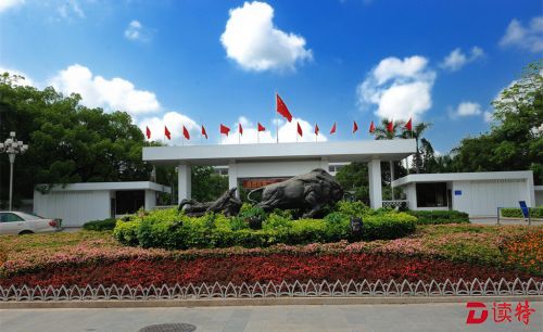 严肃换届纪律  确保风清气正