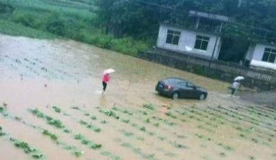 湖北鹤峰遭特大暴雨袭击 部分农作物绝收
