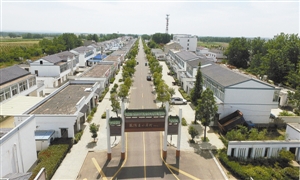 小岗村：续写敢为人先新篇章
