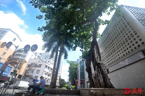 巴登社区大“整容”，将打造国际范“艺术小村”