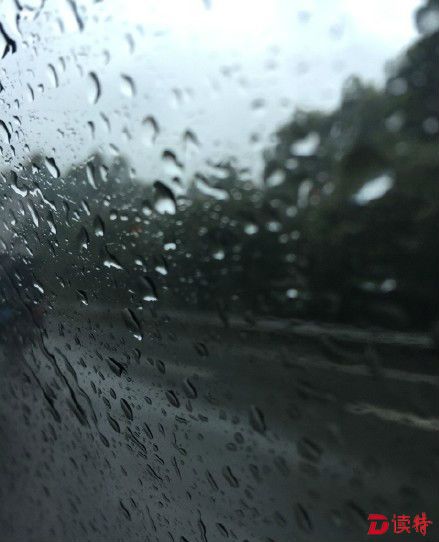 龙华好大雨，昨天天气如此好，怎么今天下这么大雨