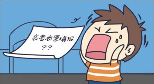 与你的专业谈恋爱 深外牛师高考志愿填报秘籍