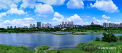 深圳申报国家湿地公园，8大绝美湿地周末去走走