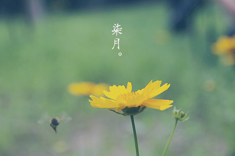 数据|全年HOT排行榜NO.1：火热的七月