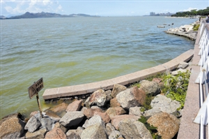 龙岗南约河：昔日脏臭河道，如今水清岸绿