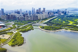 深圳湾水质明显改善