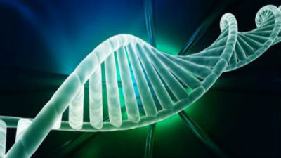 深圳基因测序分析能力世界第一