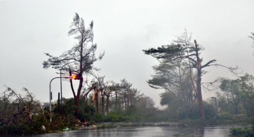 17级台风尼伯特登陆台湾 台东满目疮痍破60年纪录