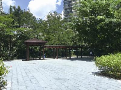 南山再添5处新绿 科技公园、后海滨公园二期等将开放