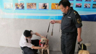 岁月催狗老！深圳机场口岸两检疫犬退役