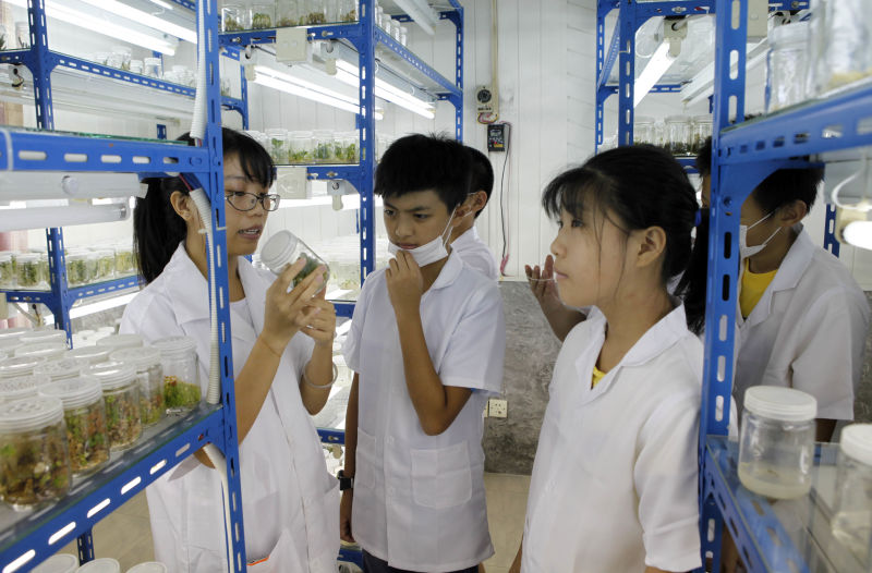 仙湖植物园免费开放