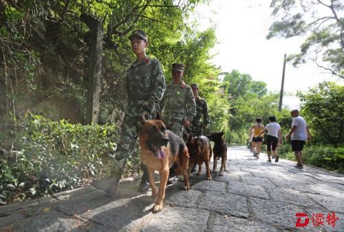 深圳蛇患频发 警犬驱赶毒蛇