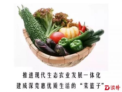 18.webp